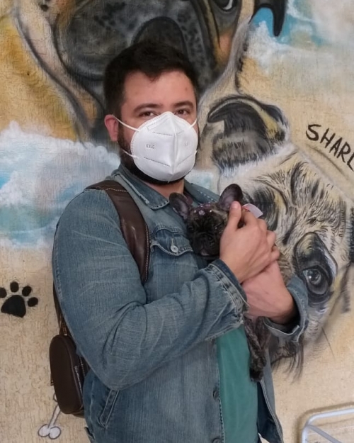 Papai Júlio comprou sua primeira buldog francês no Zequinha canil foi embora sábado