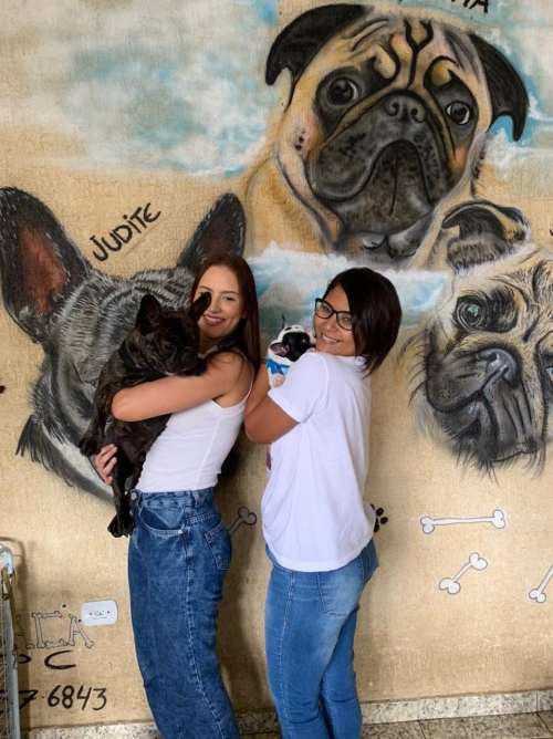 Max foi o primeiro buldog francês que a família Reis comprou agora compraram a Margot