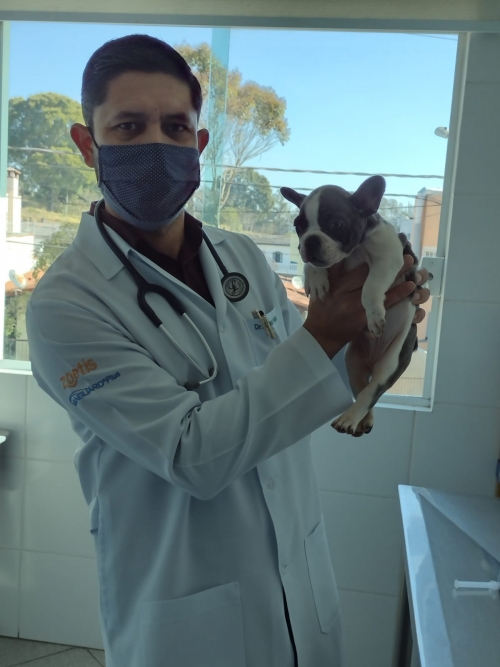 ROMEO VAI PRA CASA SAO PAULO X PORTO SEGURO FILHO ZAIRA X ZEUS