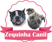 Zequinha Canil